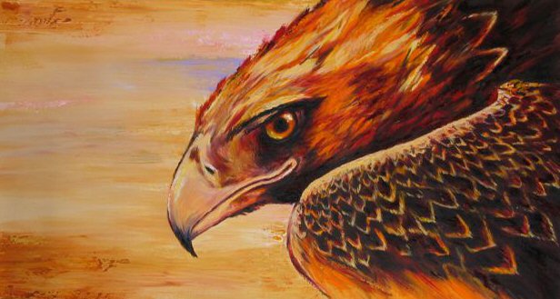 Australian Art - Eagle by Douglas Harrip