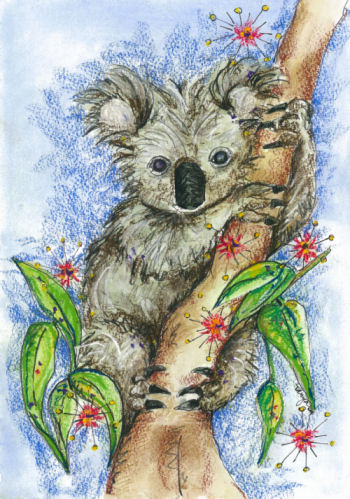 Australian Art - Koala