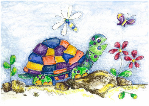 5-Pack Greeting Cards - Turtle