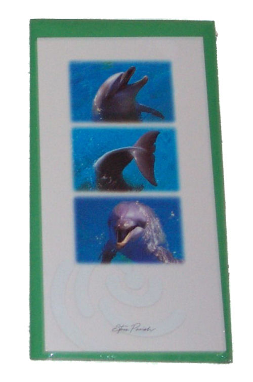 Greeting Cards - Dolphin Triplet