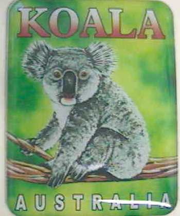 Koala Australia Magnet