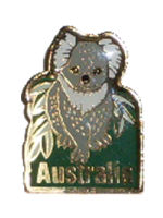 Pin - Koala with Leaves