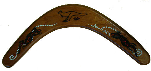 Boomerang Returning (14inch)