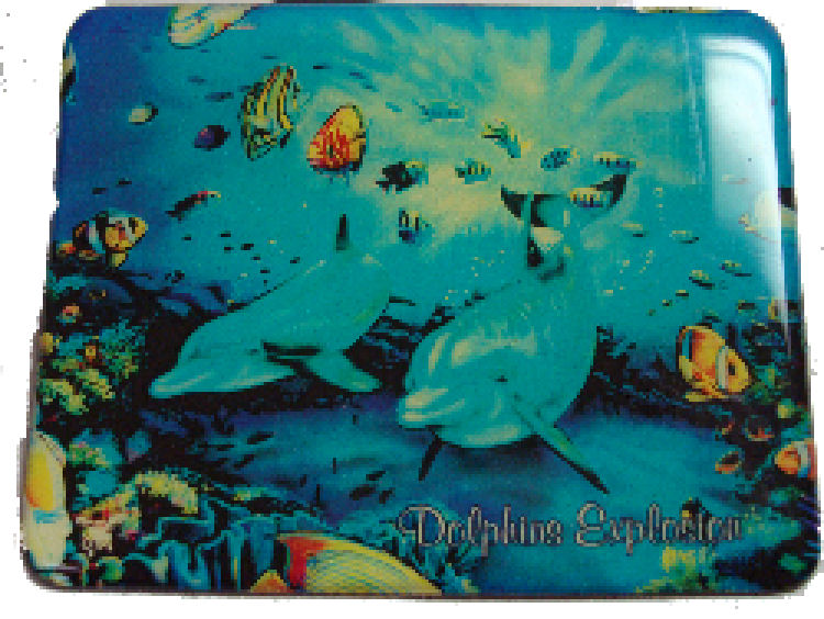 Magnet - Dolphins Explosion